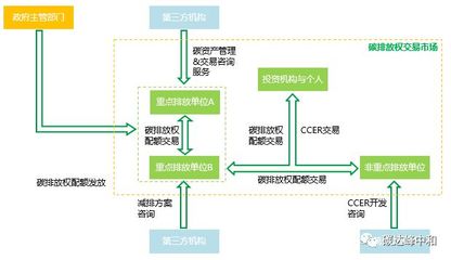 碳資產與企業(yè)碳資產管理全流程解析