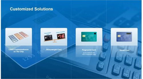 華大電子重磅亮相Seamless 2025，用芯助力數字安全新時代技術服務