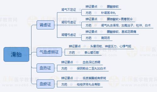 2024中醫(yī)執(zhí)業(yè)醫(yī)師考試 中醫(yī)婦科學(xué)“滑胎”重點(diǎn)知識(shí)點(diǎn)思維導(dǎo)圖詳解（含金融外包類比）